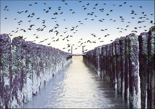 169929 Forgotten Pier, available in multiple sizes - Chamton