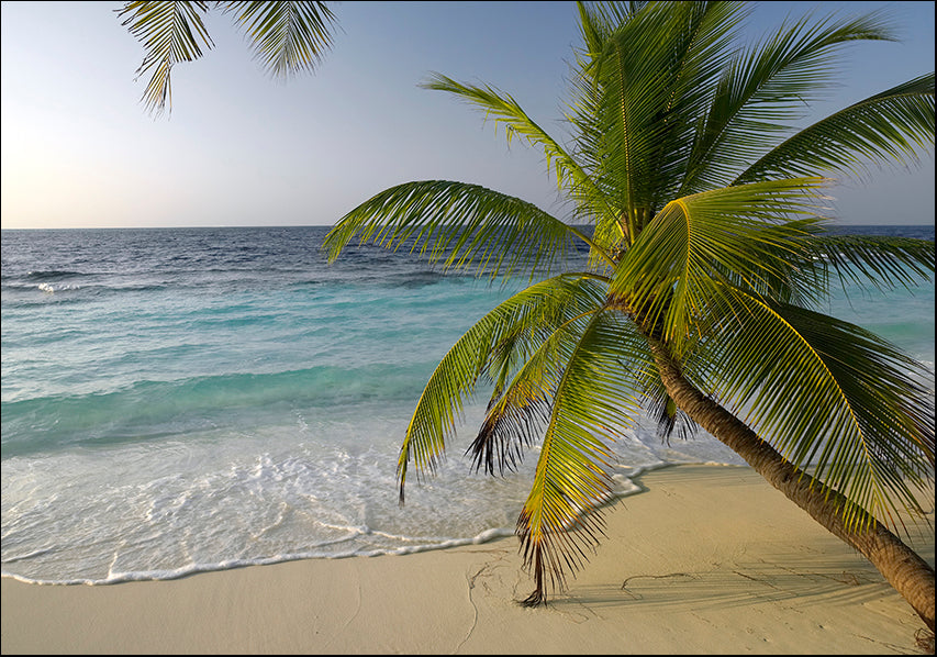 17244638 Maldives , available in multiple sizes