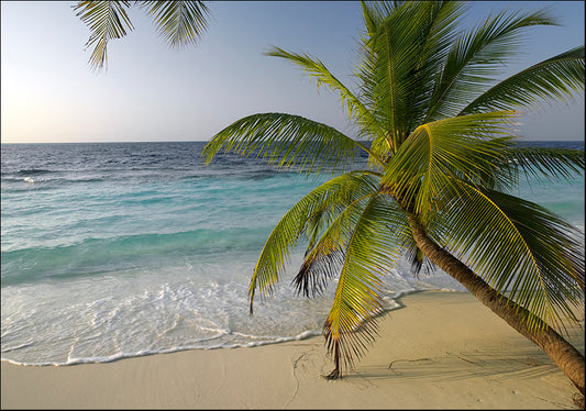 17244638 Maldives , available in multiple sizes