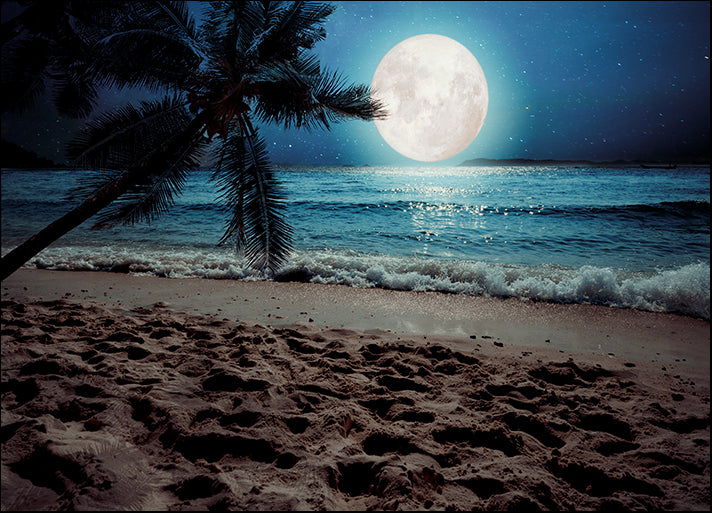 172860734 Tropical Fantasy, available in multiple sizes
