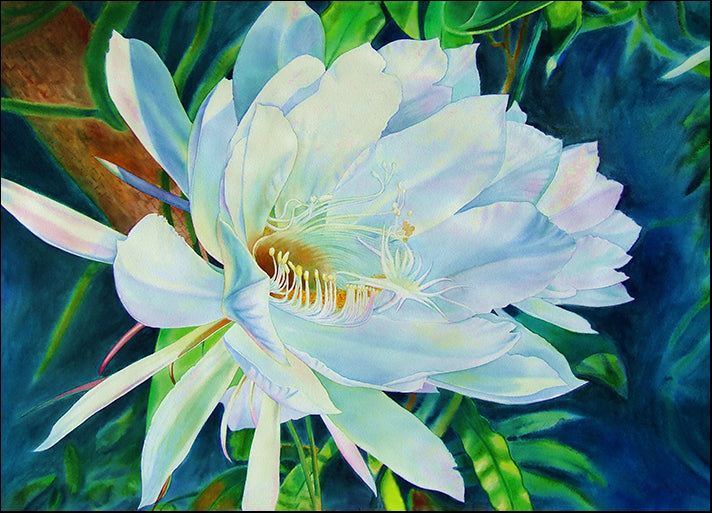 173228582 Floral Bloom, available in multiple sizes