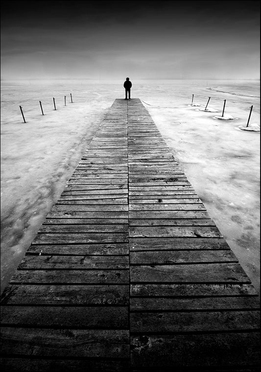 17327184 Solitude, available in multiple sizes