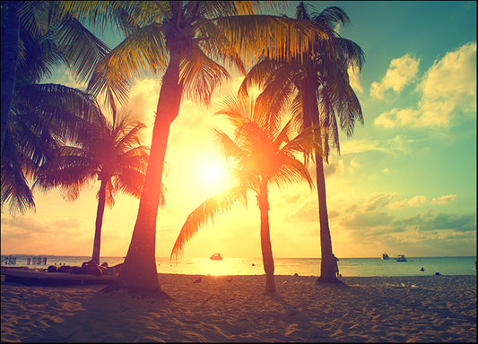 174707524 Sunset Beach with palm trees and beautiful sky, available in multiple sizes