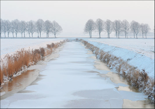 17506014 Snow path with trees, available in multiple sizes - Chamton