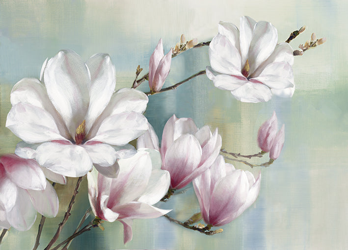 17732gg Magnolia Blooms, by Rogier Daniels, available in multiple sizes