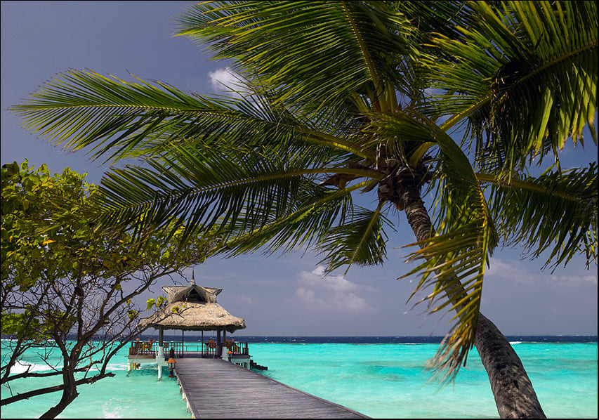 17773406 Maldives , available in multiple sizes
