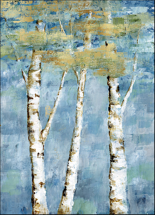 17978gg Shimmering Birch I, by Nan, available in multiple sizes