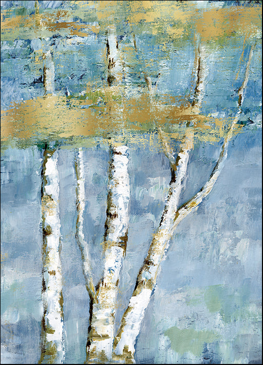 17979gg Shimmering Birch II, by Nan, available in multiple sizes
