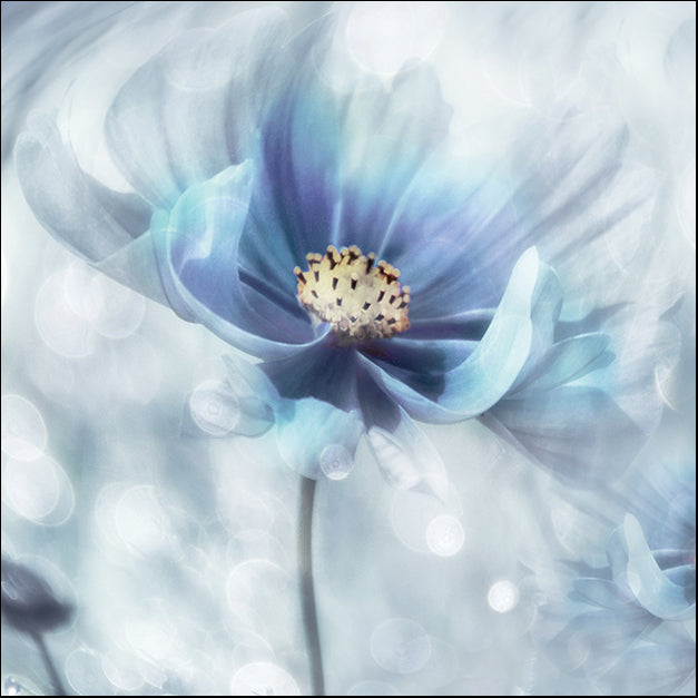 18024gg Feeling of Blue I, by Irene Weisz, available in multiple sizes