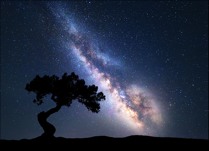 182913817 Milky Way with alone old tree on the hill, available in multiple sizes