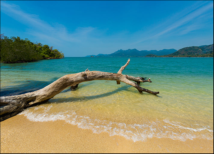 182999257 fallen tree on remote tropical island near koh Chang in Thailand Seascape, available in multiple sizes