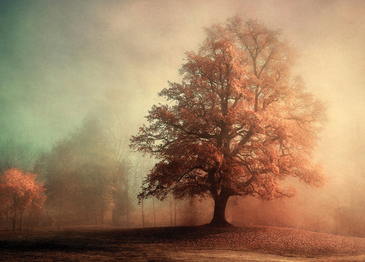 18301gg Standing Proud, by Lars Van de Goor, available in multiple sizes