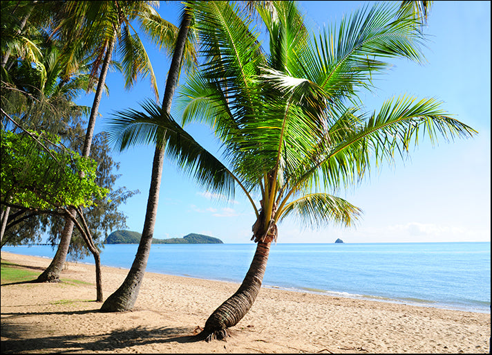 18396404 Palm Cove beach with view on Double Island, Australia, available in multiple sizes
