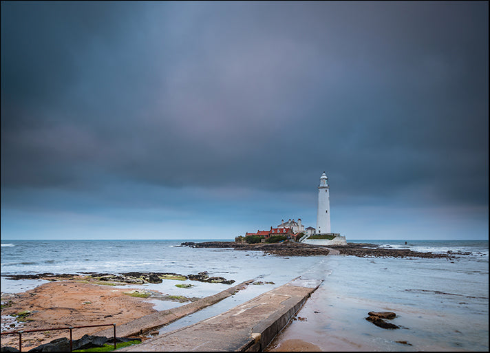 185349955 St Mary's Lighthouse, available in multiple sizes