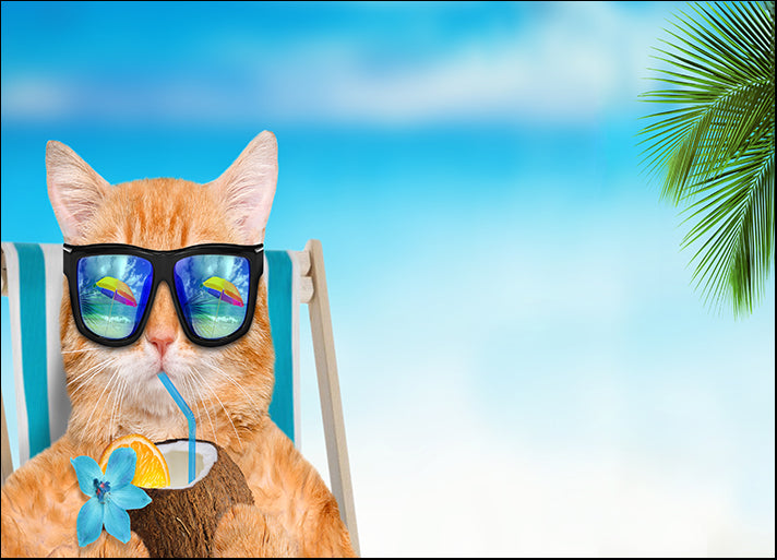 189946258 Cat wearing sunglasses relaxing sitting on deckchair in the sea, available in multiple sizes