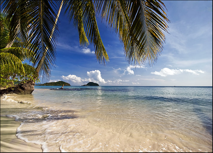 19177010 Tropical Beach with Palms, available in multiple sizes