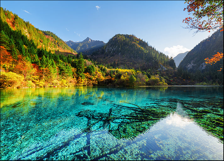 193961743 Five Flower Lake, Jiuzhaigou nature reserve China, available in multiple sizes