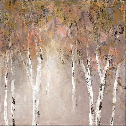 19506gg Sunlit Birch I, by Carol Robinson, available in multiple sizes