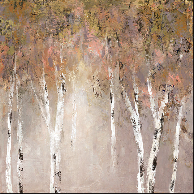 19506gg Sunlit Birch I, by Carol Robinson, available in multiple sizes