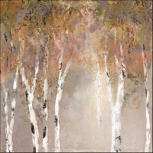 19507gg Sunlit Birch II, by Carol Robinson, available in multiple sizes