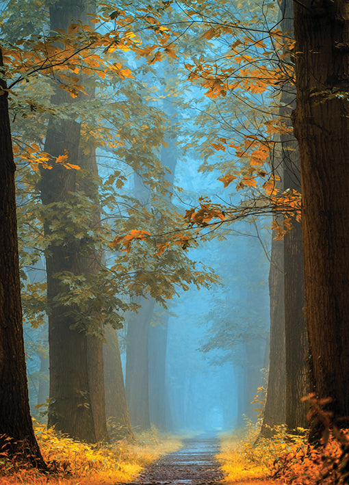19574gg Orange Blue Avenue, by Lars Van de Goor, available in multiple sizes