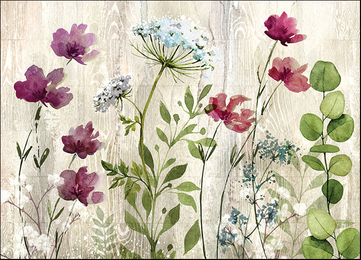 19767gg Meadow Flowers I, by Conrad Knutsen, available in multiple sizes