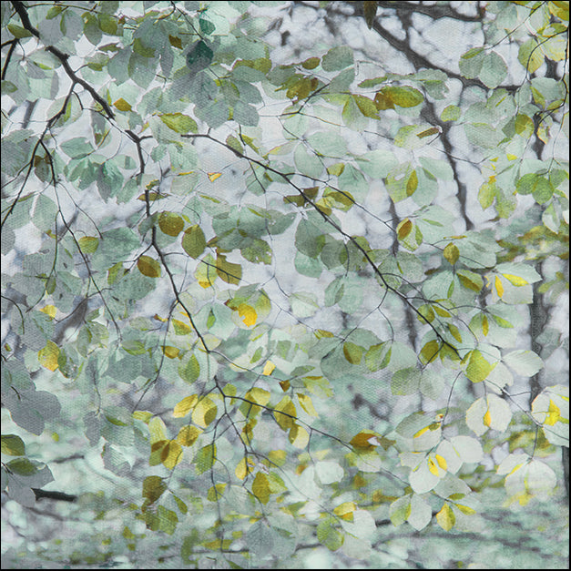 19968gg Dancing Leaves, by Irene Weisz, available in multiple sizes