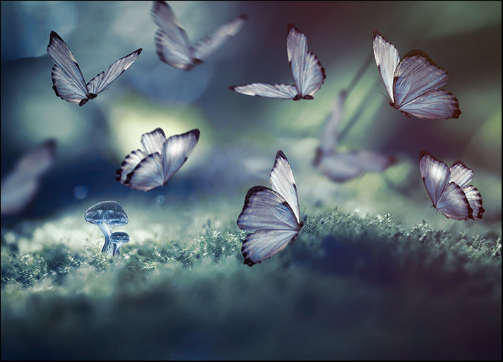 219517837 Butterflies and the Little Glowing Mushrooms, available in multiple sizes