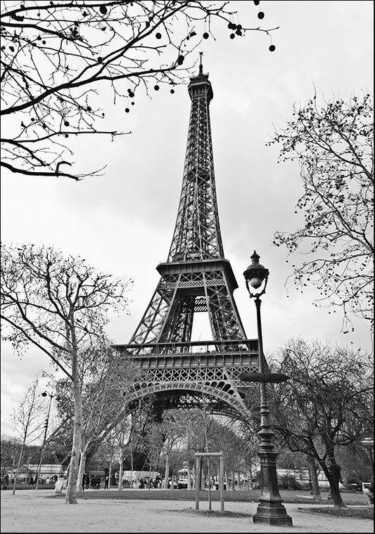 22365304 Eiffel Tower Black & White, available in multiple sizes - Chamton