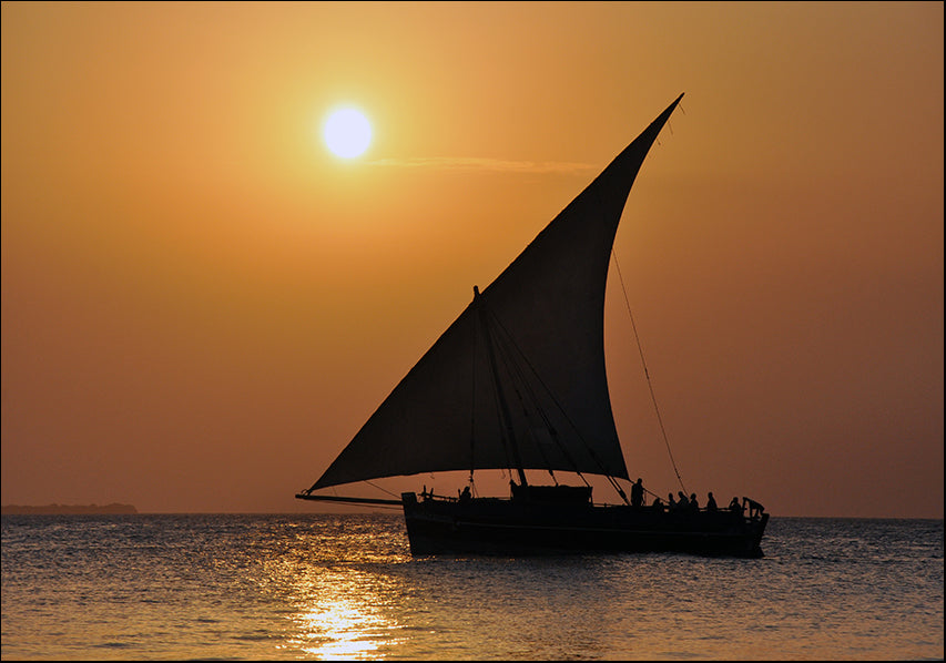 23201476 sailing at sunset, available in multiple sizes
