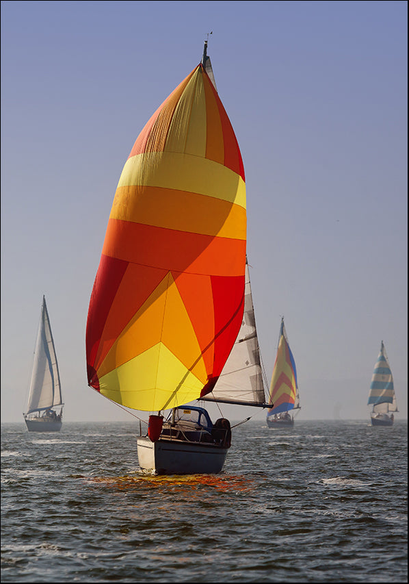 24012110 The Seas of Sails, available in multiple sizes