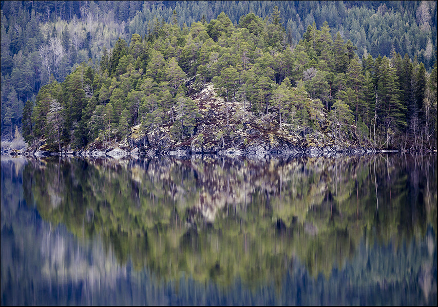 25454294 Reflective Nature, available in multiple sizes