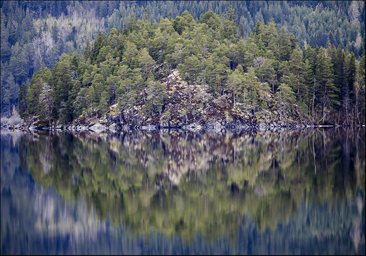 25454294 Reflective Nature, available in multiple sizes