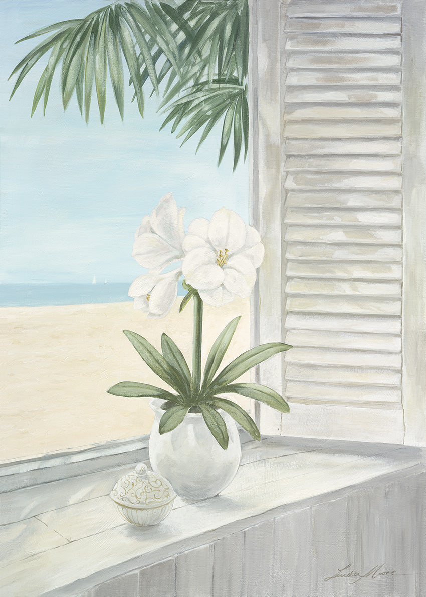 2545 MA Seaview, available in multiple sizes