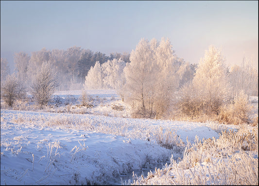 256527775 Winter Landscape, available in multiple sizes - Chamton
