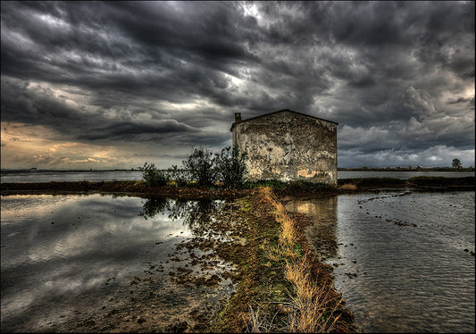 25948106 House on a Field, available in multiple sizes