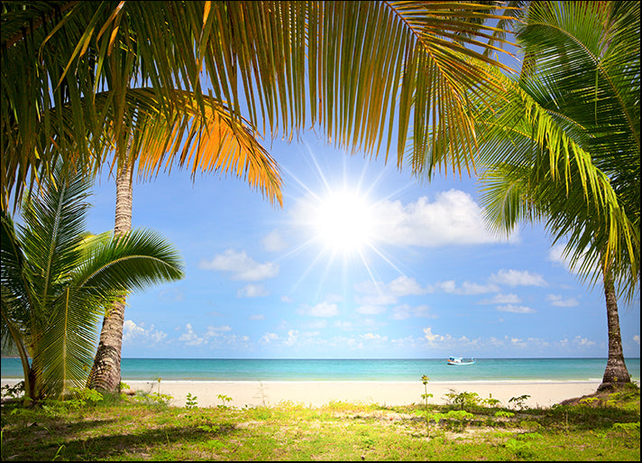 26620511 Sun in blue sky and palm trees gateway to white sand beach, available in multiple sizes