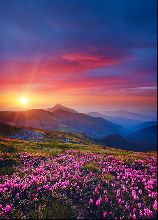 270988003 Carpathian Mountain Ukraine Europe, available in multiple sizes - Chamton