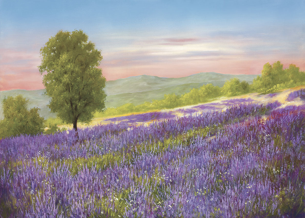 2820 MA Lavender Field, available in multiple sizes