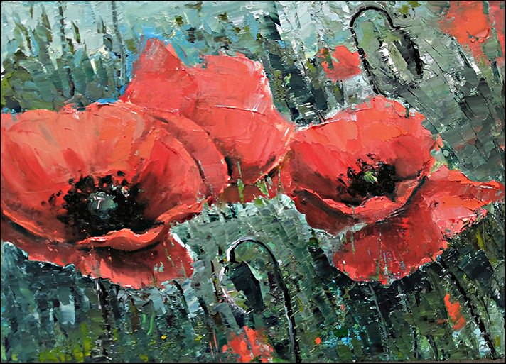 307521445 red Poppies on the Field, available in multiple sizes