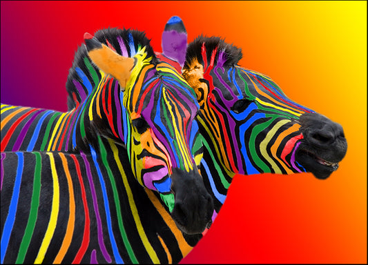 311642092 Two Colourful Zebras, available in multiple sizes