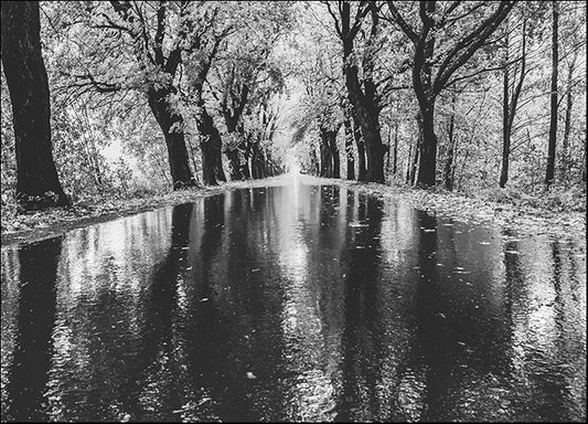 327568234 Autumn Rain, available in multiple sizes