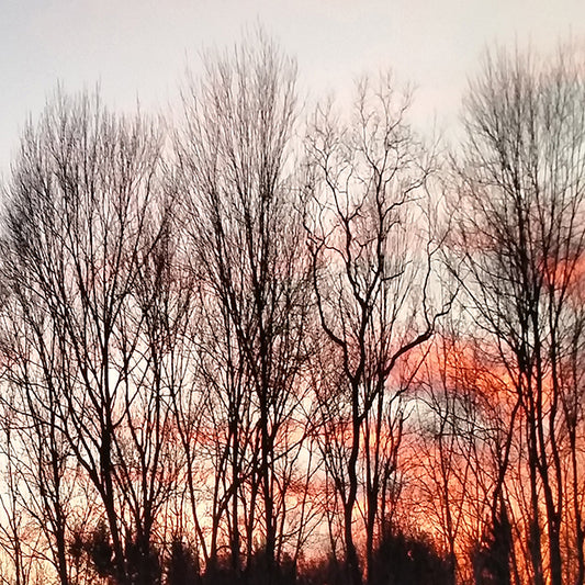 37631 MA Against the Sunset I , available in multiple sizes - Chamton