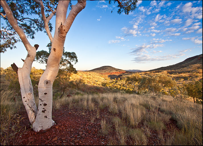 38014438 Dawn in the Pilbara, Western Australia, available in multiple sizes