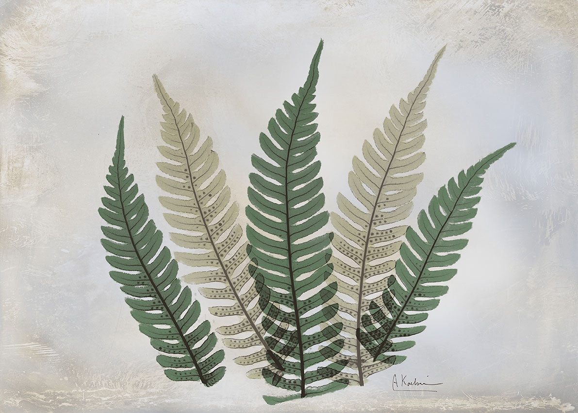 39663 MA The Fern, available in multiple sizes
