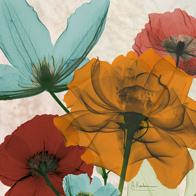 39813 MA New Avalon III , available in multiple sizes