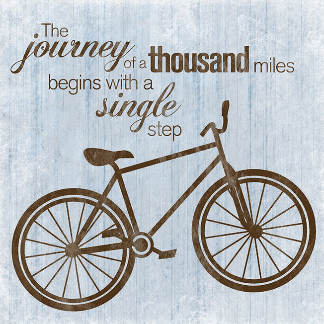 40056 MA Journey Bike , available in multiple sizes
