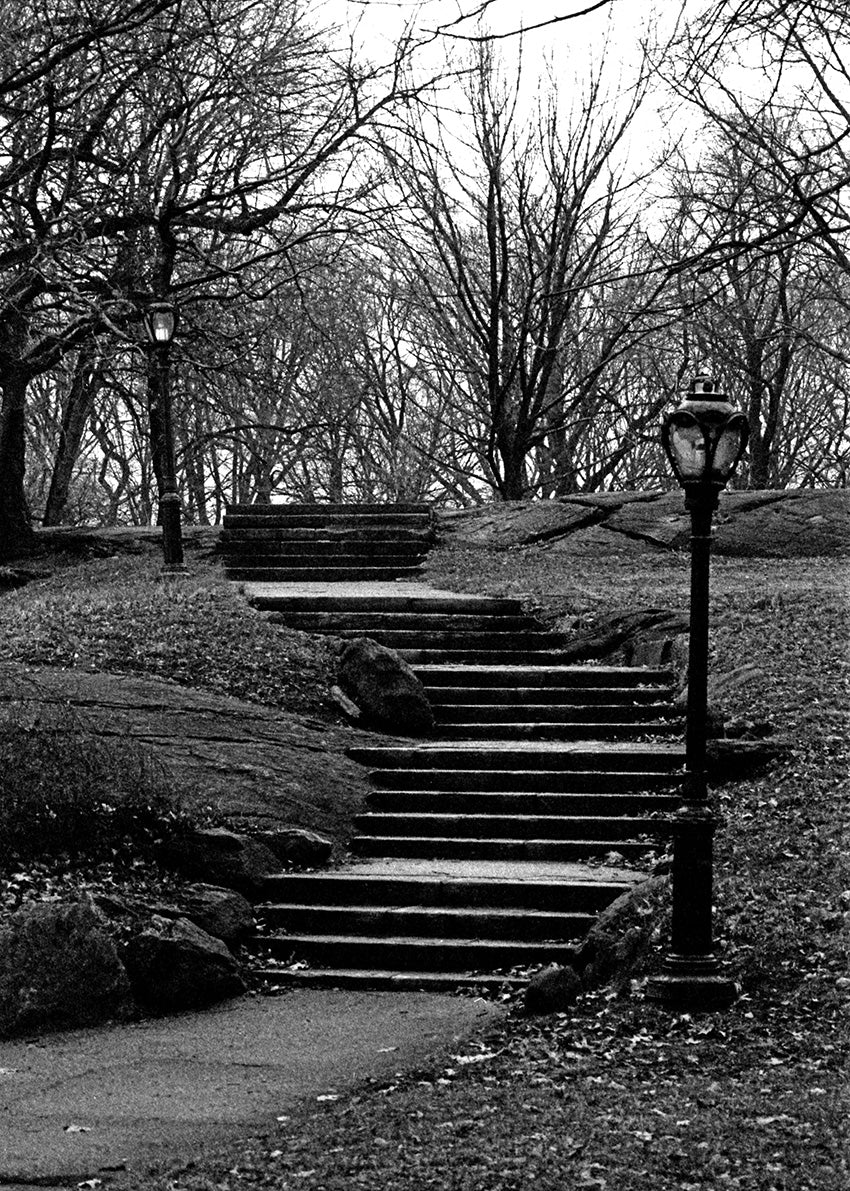 40105 MA Central Park Stairs to Nowhere, available in multiple sizes
