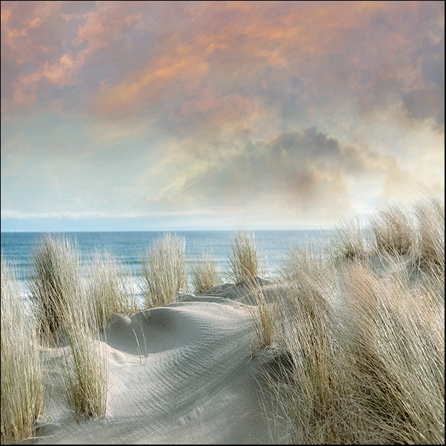 40298gg Windswept I, by Mike Calascibetta, available in multiple sizes