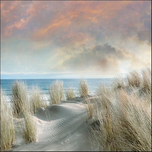 40298gg Windswept I, by Mike Calascibetta, available in multiple sizes